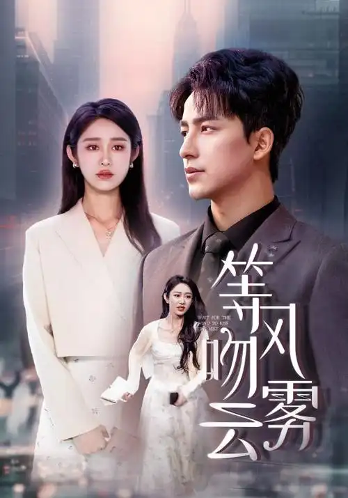 长夜将尽剧集海报